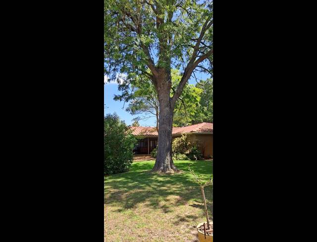 FARM FOR SALE IN PAARL RURAL